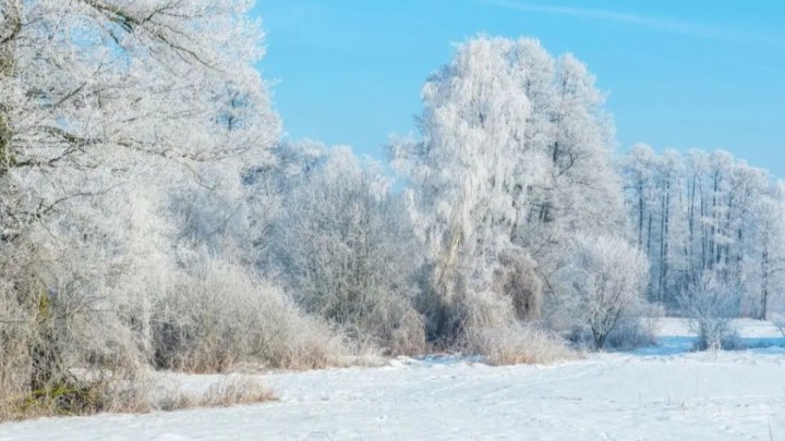 Аяздың беті қайта ма? Алдағы күндерге арналған ауа райы болжамы