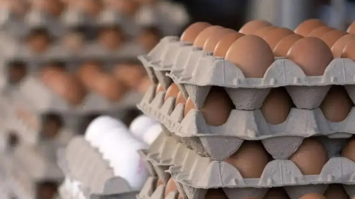 Қазақстанға тауық жұмыртқасын әкелуге тыйым салынды