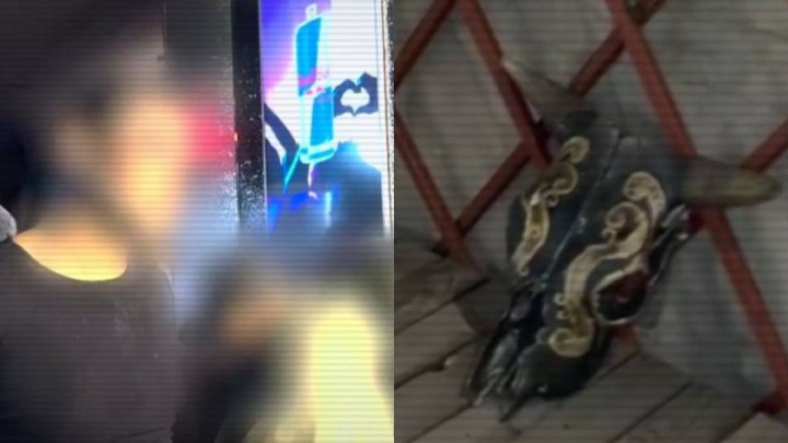 Алматыда қылмыстық топ жаңа туған нәрестелерді сатумен айналысқан