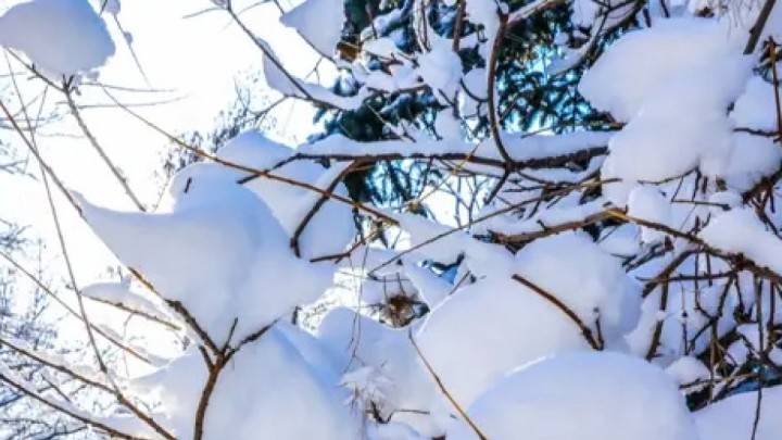 Алдағы күндері 28 градус аяз болады