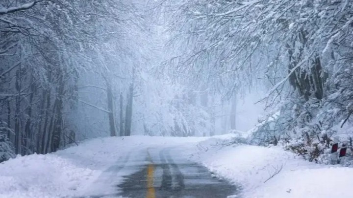 17 желтоқсанға арналған ауа райы болжамы