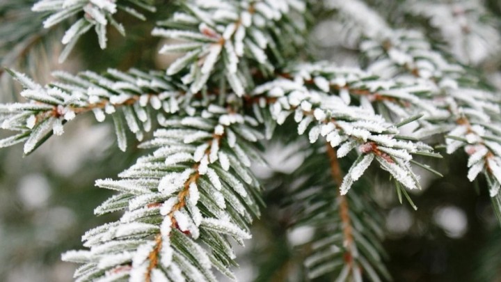 Бұрқасын, тұман, көктайғақ... Синоптиктер ескертеді