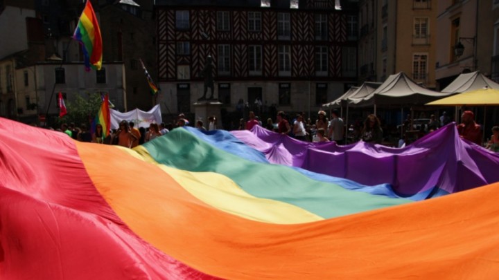 Сенат ЛГБТ насихатына тыйым салатын заңды мақұлдады