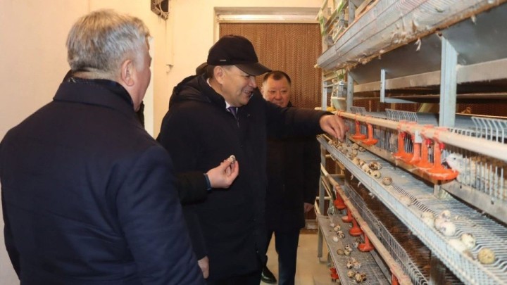 Үкімет басшысының кеңесшісі Қызылорда облысындағы Бесарық ауылының берекелі тіршілігімен танысты