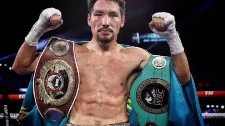 Жәнібек Әлімханұлы барлық титулдан айырылуы мүмкін