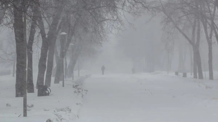 29 желтоқсанға арналған ауа райы болжамы