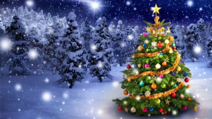 Күмәнді құттықтау. Президенттің орнына ЖИ құттықтады ма?