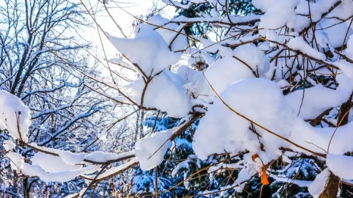 8 қалада ауа райына байланысты ескерту жарияланды