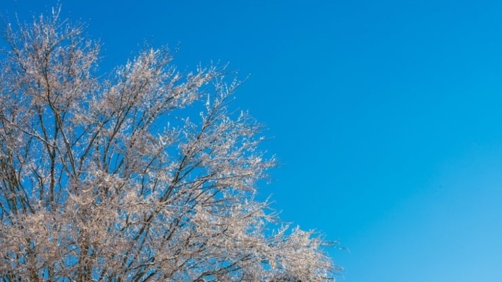 Сенбі күні еліміздің бірнеше өңірінде тұман мен қар күтіледі