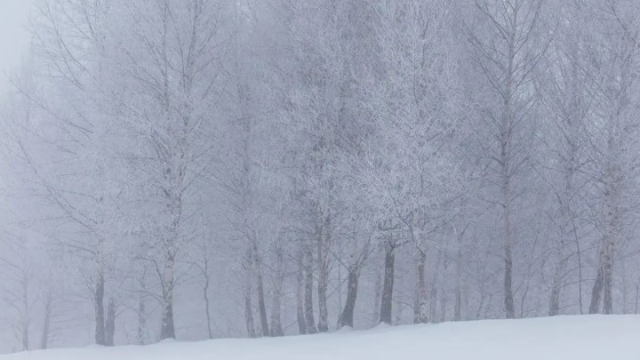 7 ақпанға арналған ауа райы болжамы жарияланды