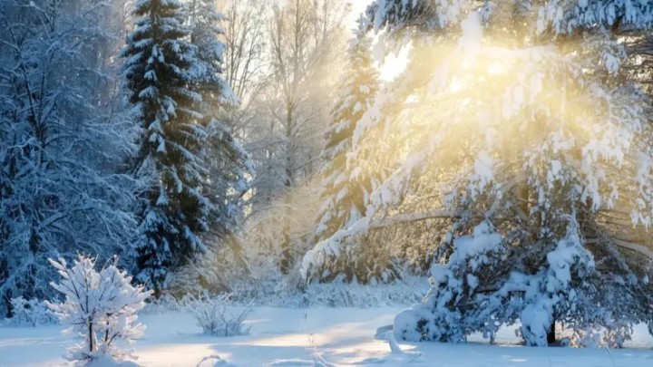 8 ақпанға арналған ауа райы болжамы жарияланды