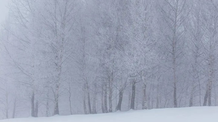 Ауа райына байланысты бірнеше өңірде жол жабылды