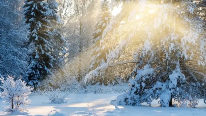 9 ақпанға арналған ауа райы болжамы