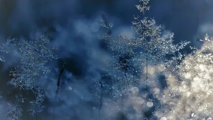 Бүгін қар аралас жаңбыр жауады, аяз болады