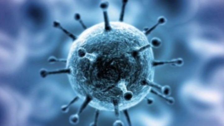 Короновирус қайта өрши ме? ДСМ 5 адамнан вирус анықтапты