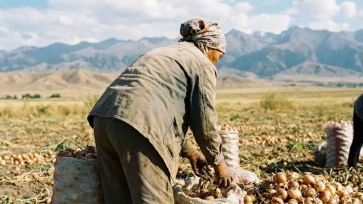 Жамбыл облысында бәрі "өлдіге санап, жерлеп тастаған" әйел бір айдан соң үйіне оралды