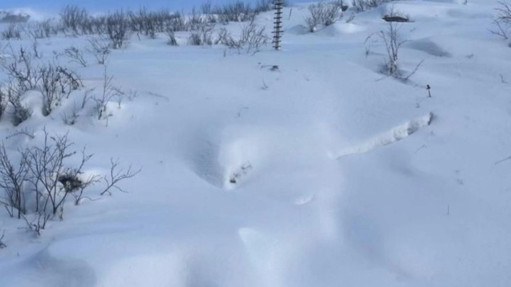 Алдағы күндері тауларда қар көшкіні жүруі мүмкін