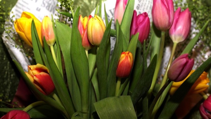 8 наурыз қарсаңында қазақстандықтарға ескерту жасалды