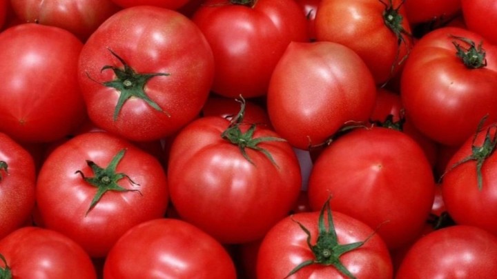 Ресейден әкелінген қызанақтан вирус шықты