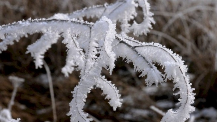 Ертеңнен бастьап -25 градусқа дейін аяз болады