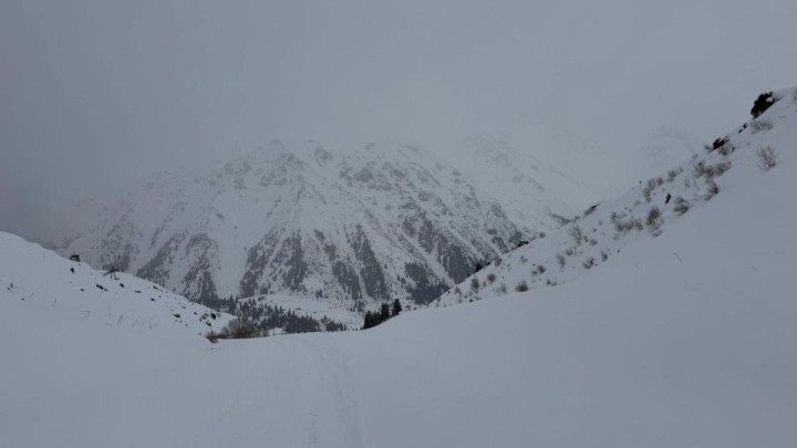 Қар көшкіні қаупі: Алматы тауларында жағдай күрделі