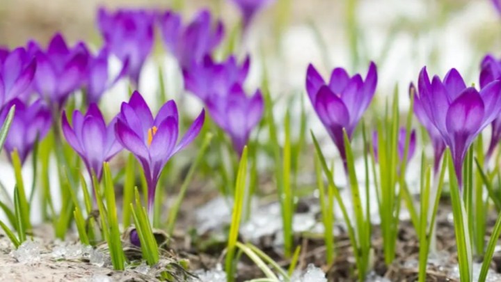 Еліміздің барлық аймағында күн жылынады