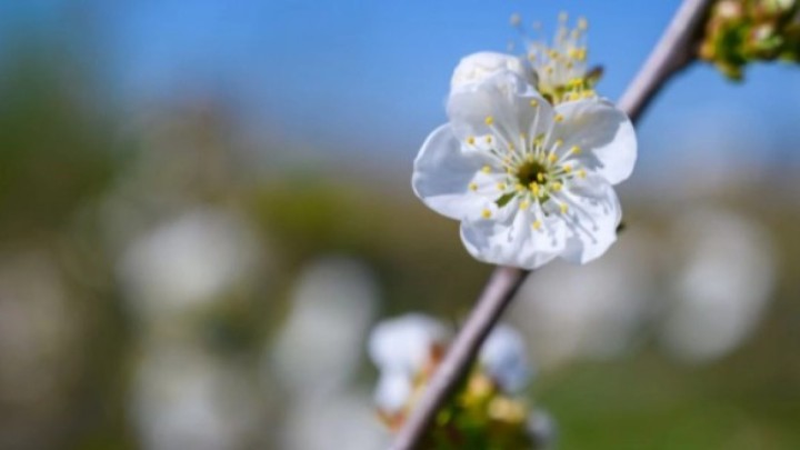 Көктем мен жаз айларында ауа райы қалай болады?