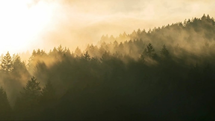 19 наурызда ауа райына байланысты ескерту жасалды