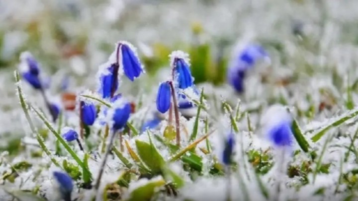 Синоптиктер ертең ауа райы қандай болатынын ескертті