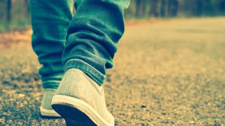 Ғалымдар жүру жылдамдығы мен өмір сүру ұзақтығы арасында тікелей байланыс бар екенін анықтады