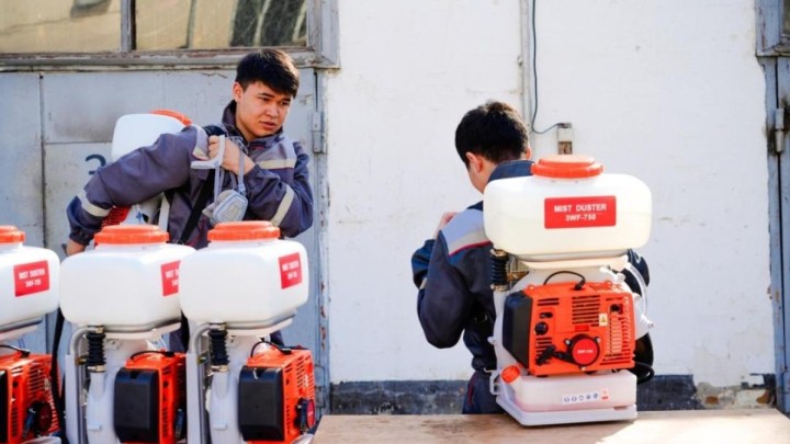 Астанада маса мен шіркейге қарсы күрес жұмысы қалай өтеді