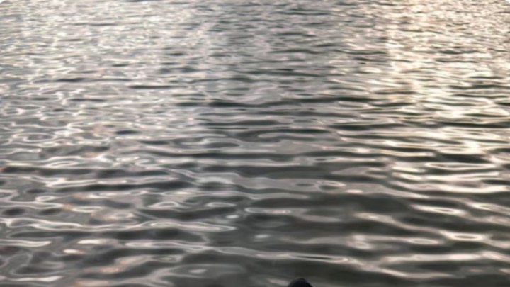 Түркістан облысында өзенге батқан сәбидің денесі табылды