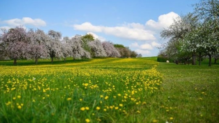 Қазақстанда мамырда 11 күн демалыс болады