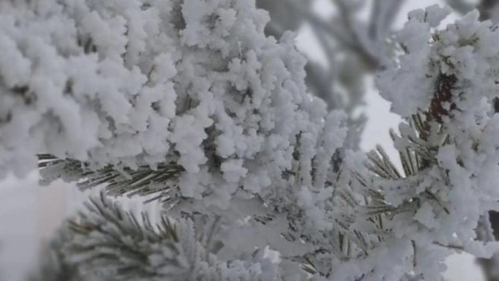 Алдағы күндері күн күрт суытып, қар жауады