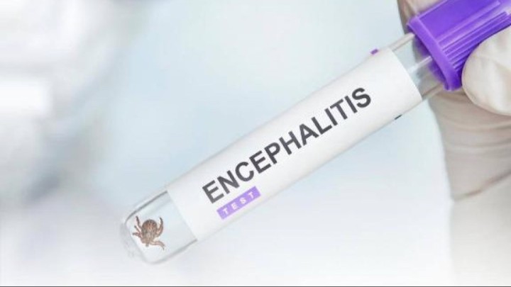 Қазақстанда 478 адамды кене шақты: дәрігерлер ескерту жасады