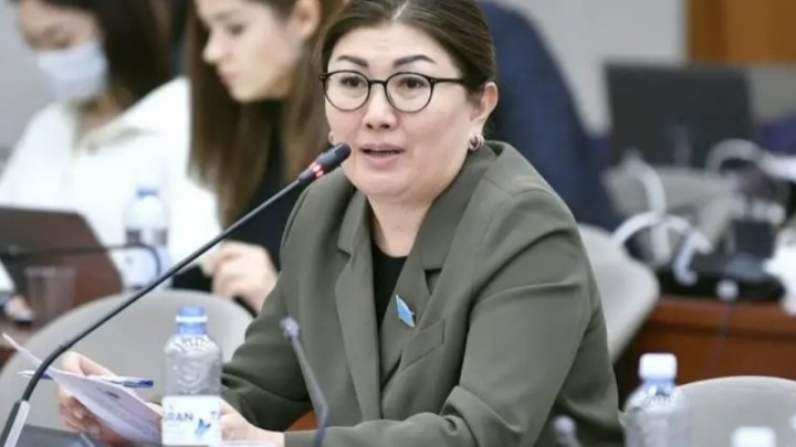 Бір итке 74 мың, ал балаға 17 мың тг жәрдемақы беріп жатырмыз - Мәжіліс депутаты