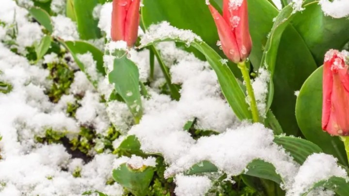 Алдағы күндері қар жауып, аяз болады