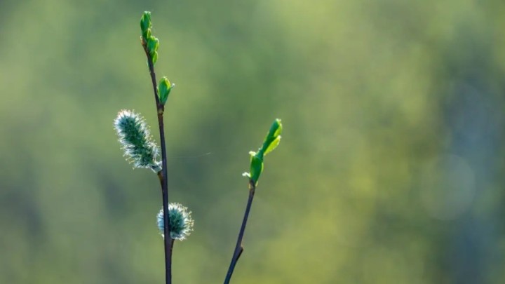Қазақстанның 14 облысы мен Алматыда дауылды ескерту жарияланды