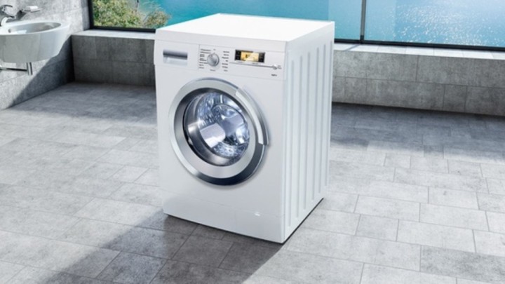 Мысықты кір жуатын машинаға салып өлтірген