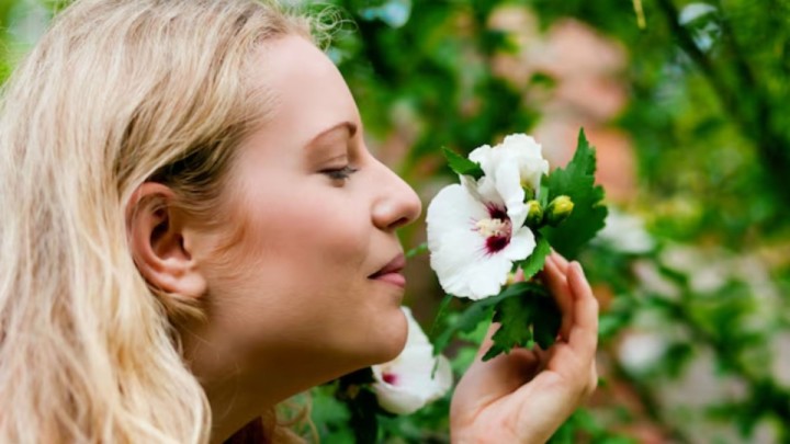 Гүл иіскеймін деп уланып қалмаңыз: флористер сізге айтпай құпия дерек мәлім болды (ВИДЕО)