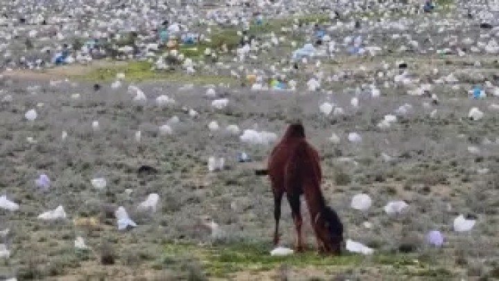 Маңғыстаудың даласы қоқысқа толып жатыр