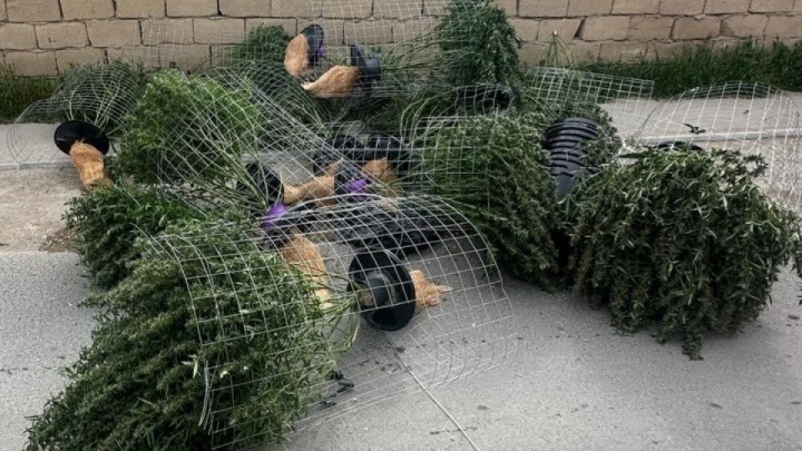 Маңғыстауда есірткі зертханасын ұйымдастырған екі адам қамауға алынды