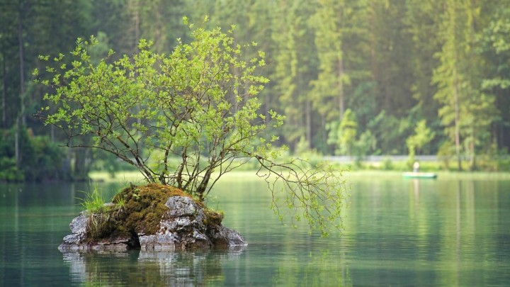 Бүгін ауа температурасы 40 градусқа дейін көтеріледі