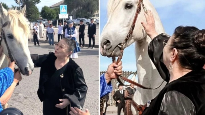 Төлегеннің ақбозатындай: Ұлытаулықтар Меруерт Өтекешоваға сәйгүлік сыйлады