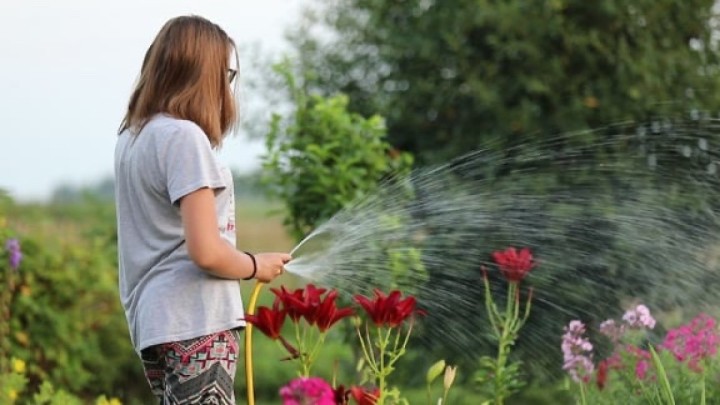Қазақстанның бірқатар өңірінде +35 градусқа дейін аптап ыстық болады