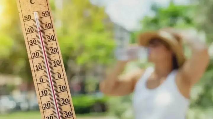 10 шілдеге арналған ауа райы болжамы
