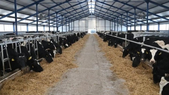 Агроөнеркәсіптік кешен экономикалық өсімге оң ықпал етуде