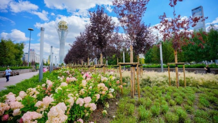 Астанада биыл миллионнан астам жасыл желек отырғызылады