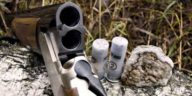 Заңсыз аң аулау тыйылмай тұр