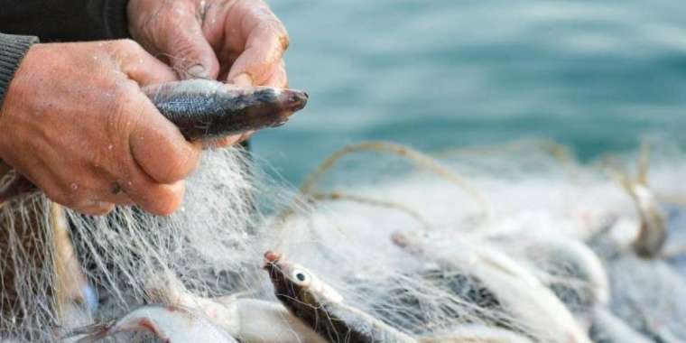 Браконьерлікке жұмыссыздық себеп пе?